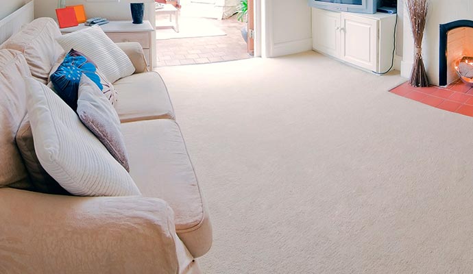 Clean living room with beige carpet