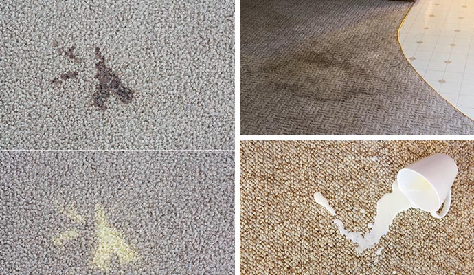 Collage of different types of stains on carpet