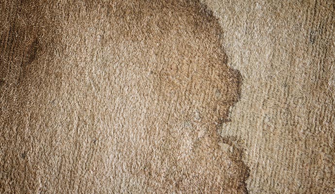 Old and dried stained carpet