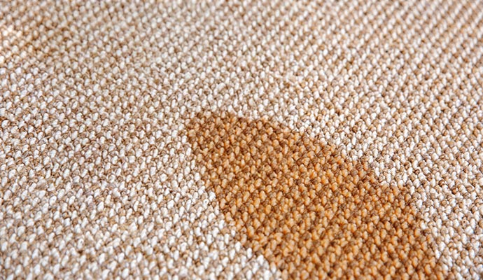 Spilled Drink Stain Removal From Carpets in Dallas-Fort Worth