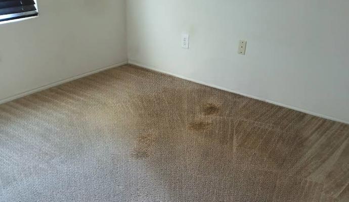 Carpet stain
