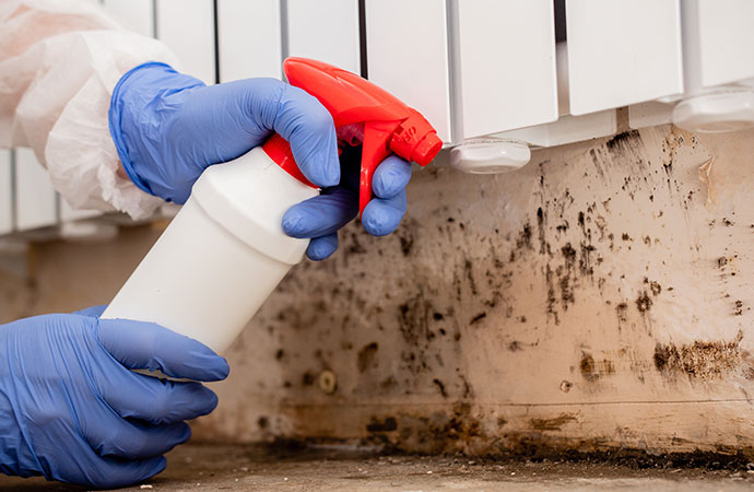 Worker Spraying Mold Exposure