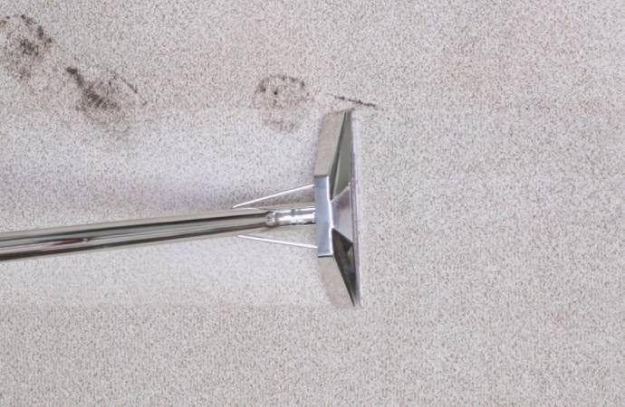 Anti-Allergen Services in Dallas and Fort Worth Texas