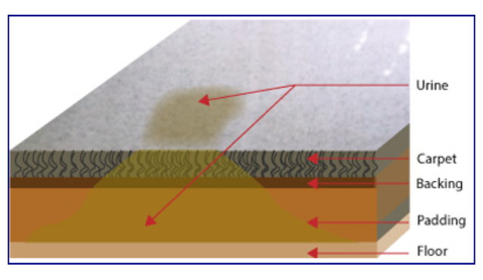 Carpet Layers Structure