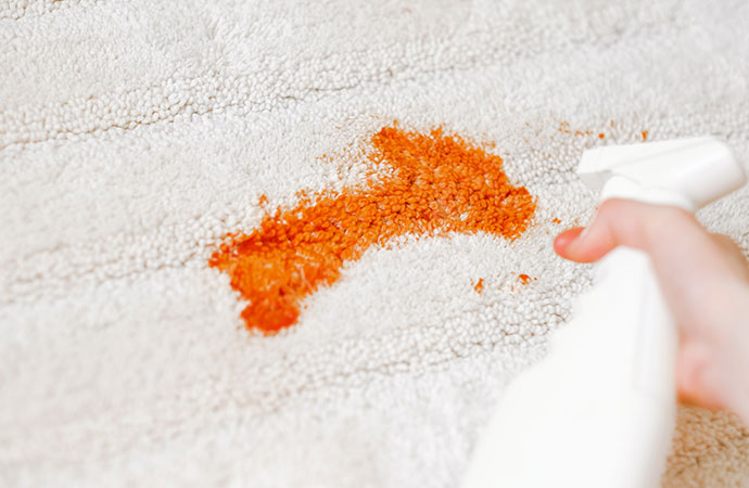 A man trying to clean Ketchup Stain on the Carpet