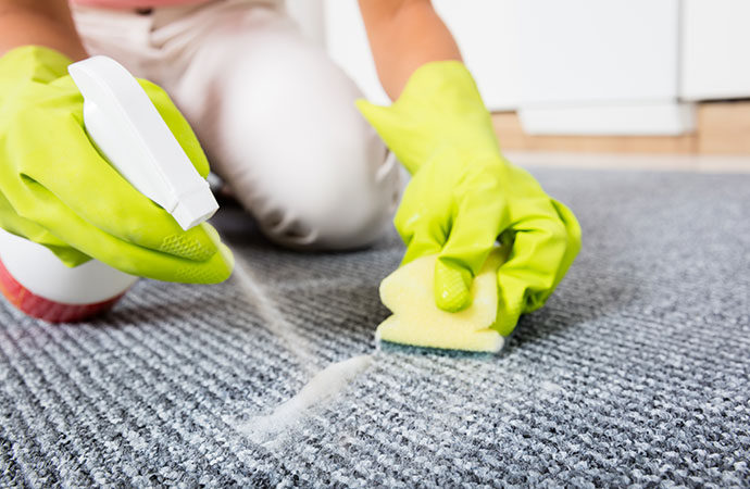 Plant Food Stain on Carpet