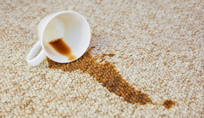 Carpet Stain Protection Services