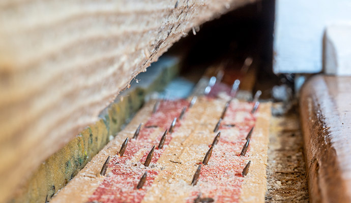 Close-up of view of carpet tack strip