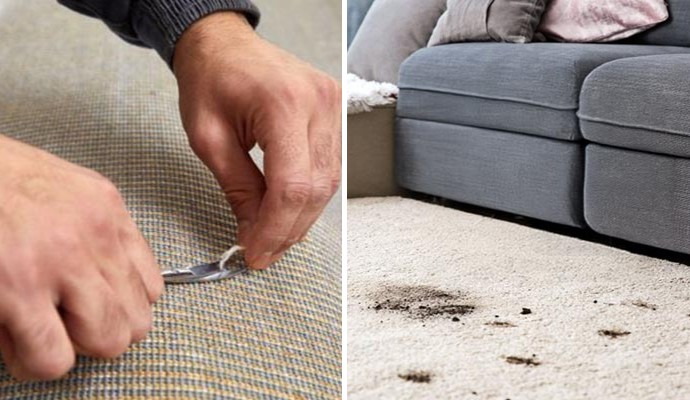 Collage of expert repairing carpet and visible pet stain on the carpet