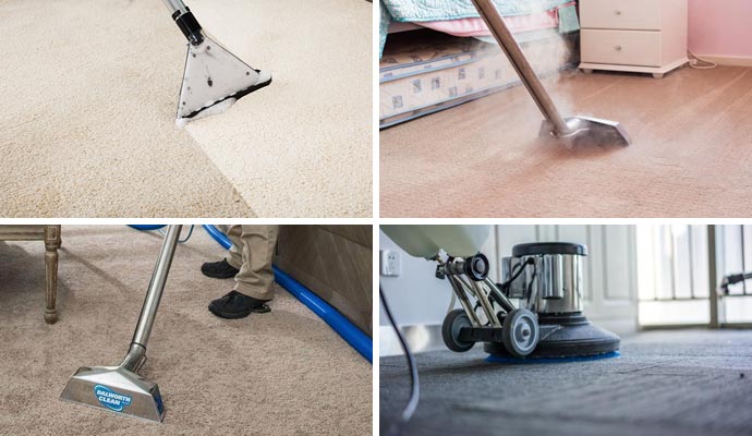 Collage of different types of carpet cleaning methods