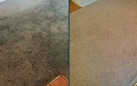 Carpet Cleaning by Dalworth