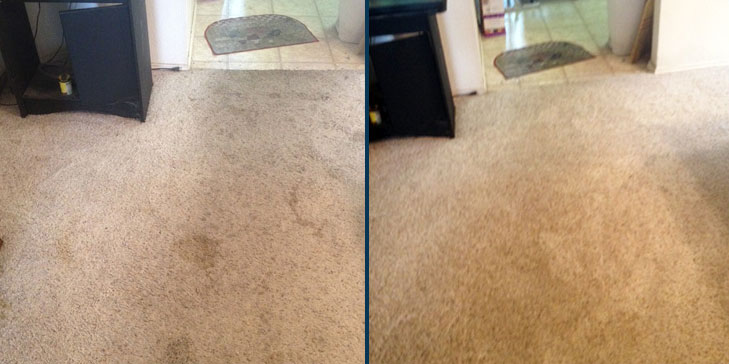 Carpet Cleaning by Dalworth