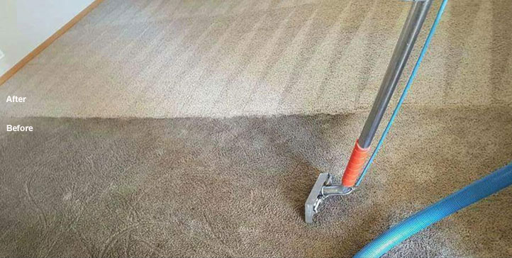 Carpet Cleaning by Dalworth