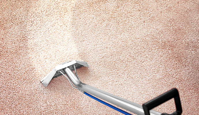 Professional deep dirt carpet cleaning service