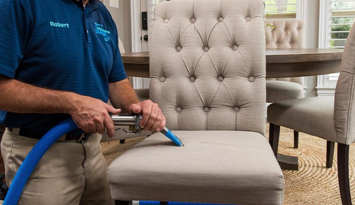 Professional dining chair cleaning