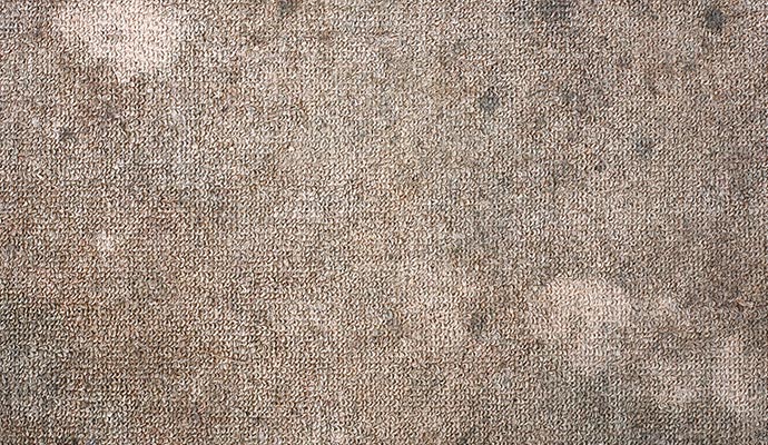 Why Do Carpet Spots Come Back or Reappear?