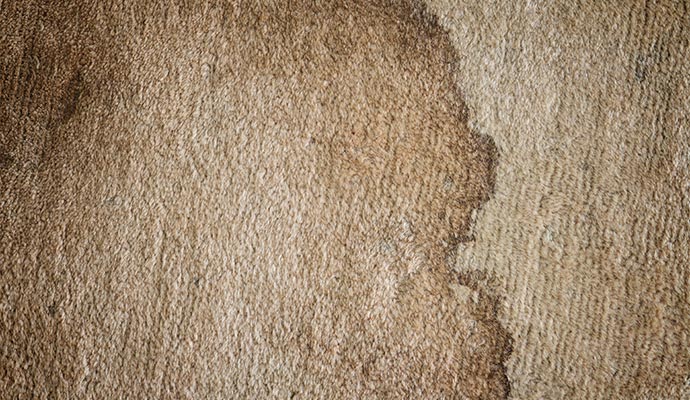 Discolored carpet with ground-in debris