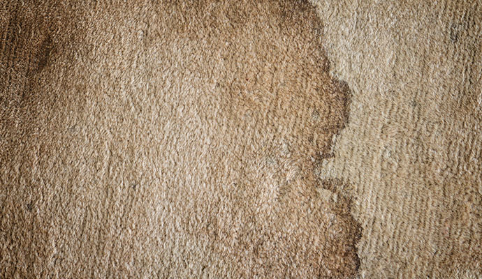Dry stain on carpet