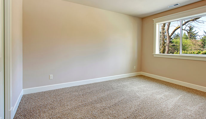 Clean carpet placed in an empty room