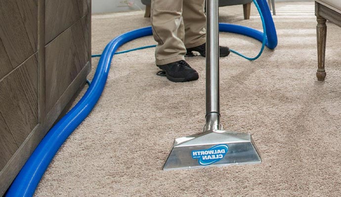 carpet cleaning professionally in Argyle