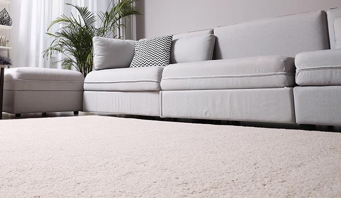 carpet in living area