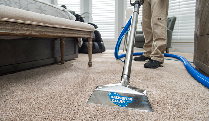 An expert cleaning a carpet in a living room using cleaning equipment