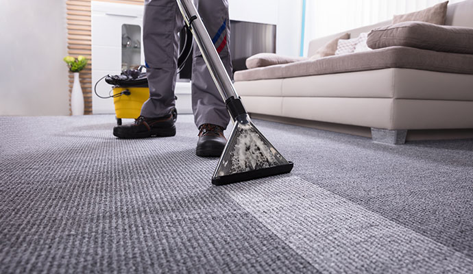 An expert cleaning a carpet in a modern living room using professional equipment