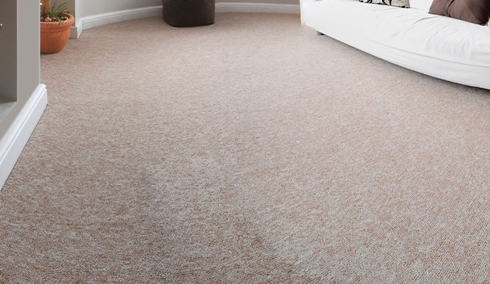 Carpet on the floor