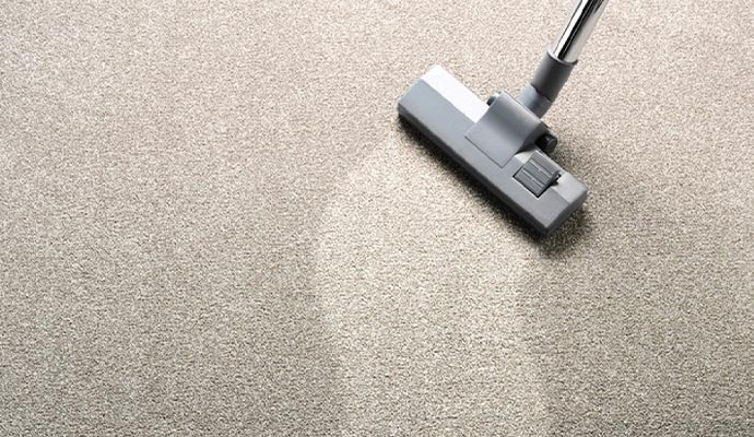 Professional Carpet Cleaning Services