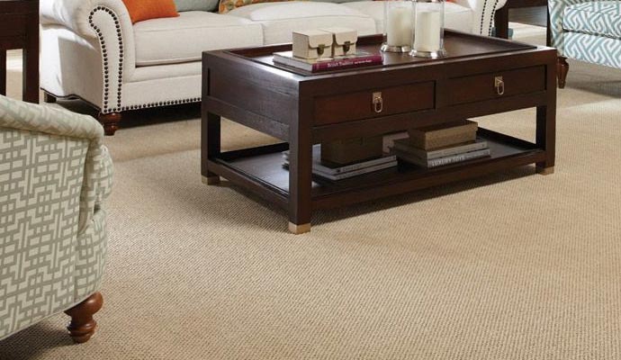 carpet home cleaning
