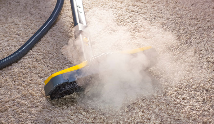 Carpet cleaning using the hot water extraction method