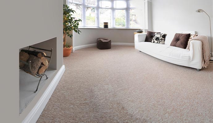 Living room with beige wall-to-wall carpet