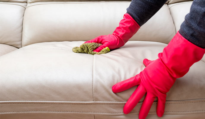 worker cleaning sofa