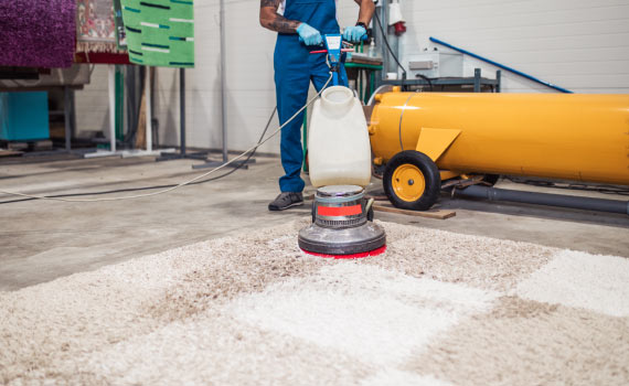 Professional worker removing skunk odor