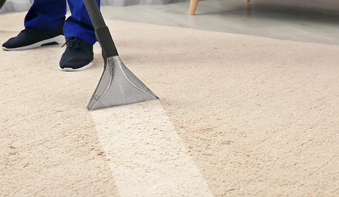 Professional carpet cleaning service