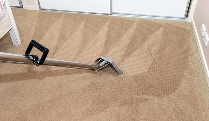 Professional carpet cleaning using equipment