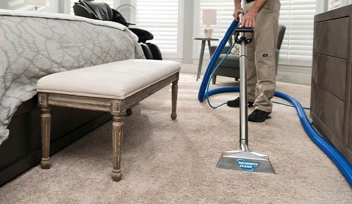 Professional carpet steam cleaning technician