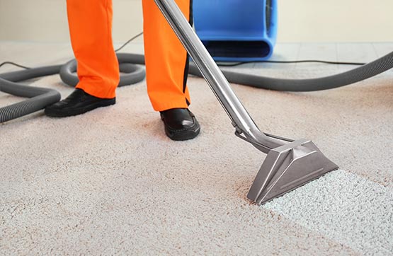 professional man carpet steam cleaning service