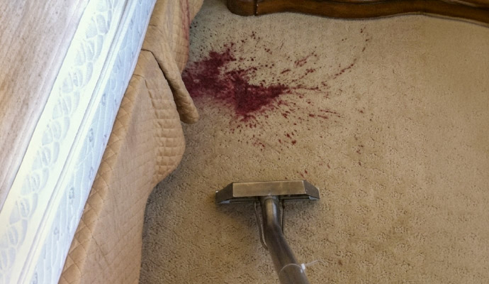Professional red wine carpet stain removal service by Dalworth Clean
