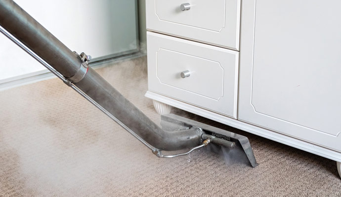 Carpet Cleaning Process by Dalworth Clean