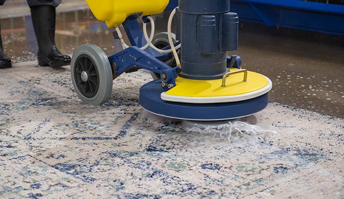Area rug cleaning