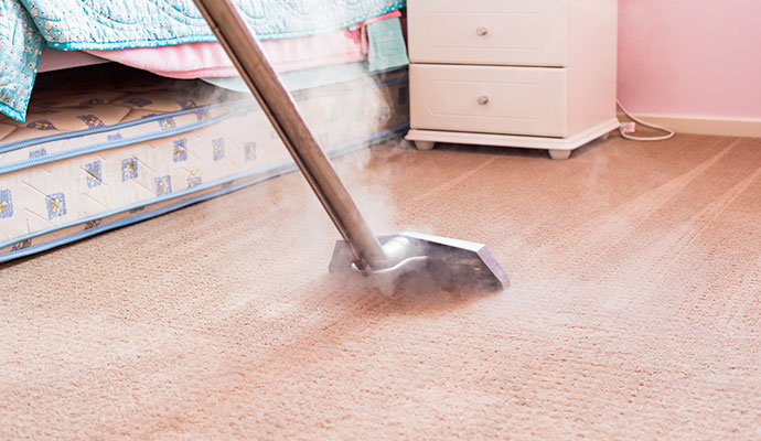 Bedroom carpet steam cleaning