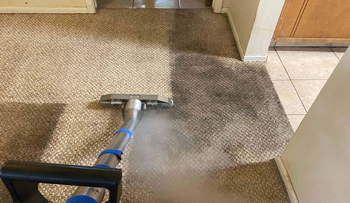 Carpet Cleaning Service in Arlington, TX