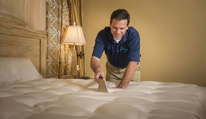 Mattress steam cleaning service