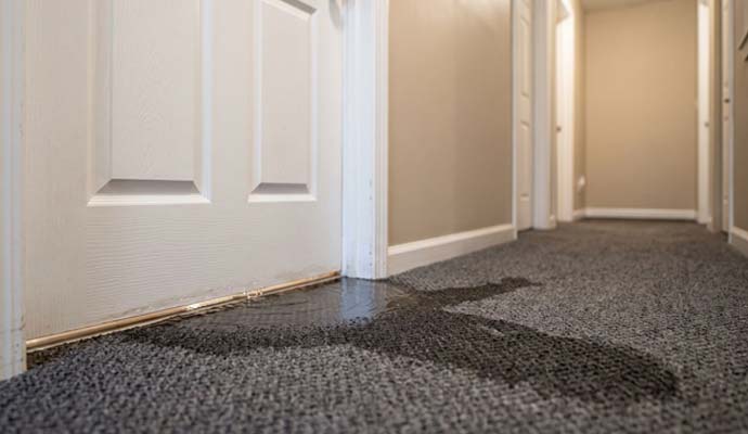 Severe water leak flooding hallway carpet from underneath a doorway