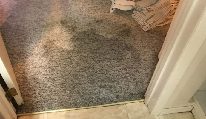 Stain on the carpet
