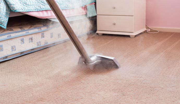 Steam carpet cleaning for pet allergen
