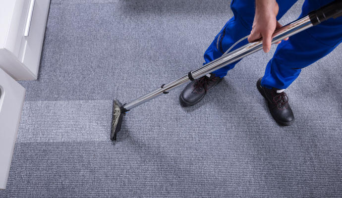 Technician cleaning carpet