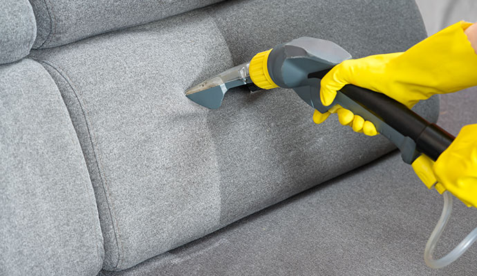 Professional upholstery deodorizing service
