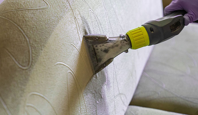 Upholstery pet stain & odor removal